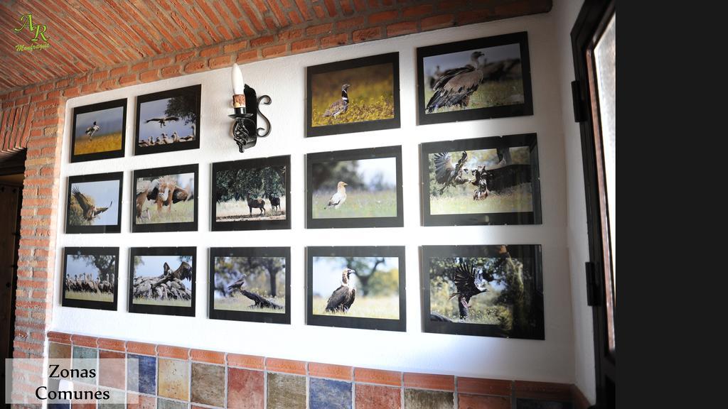 Apartamentos Rurales Monfraguee Torrejón el Rubio Екстериор снимка